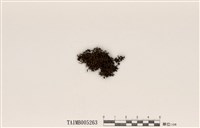 藏品(淡綿腹衣)的圖片